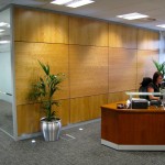 Apex Partitions