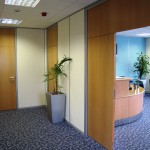Colourline Framed Partitions